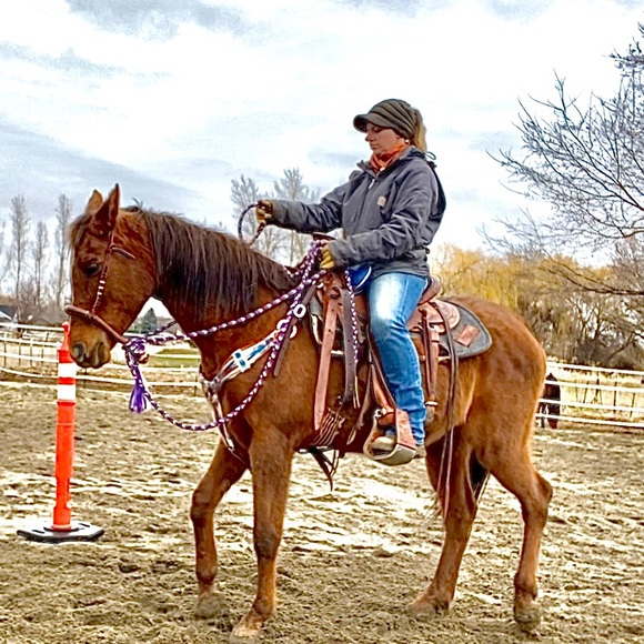 Meet your Posher, Brittany - Picture 11 of 16